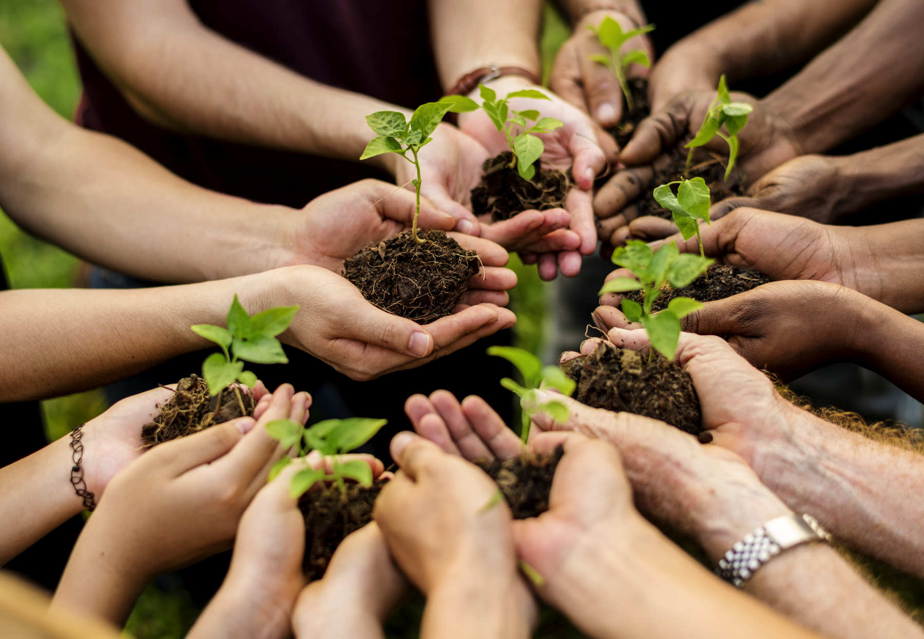 Group Of Volunteer With Sprout For Growing YXLFC36