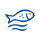Fishmeal Powder